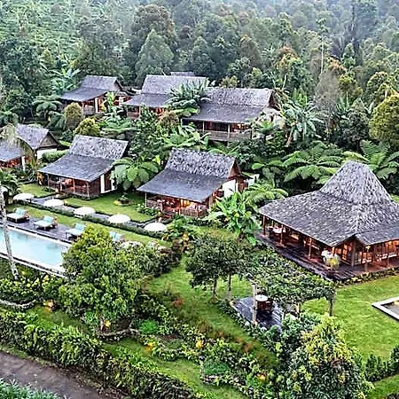 Umah Lusa
